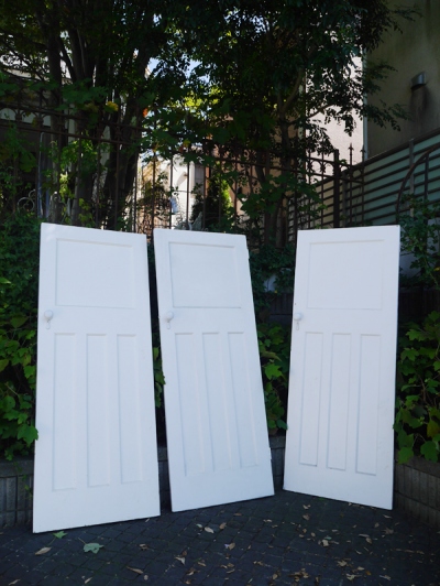 Panel Door (EU501)