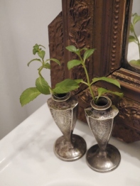 Pair of Flower Vases (EH-1)