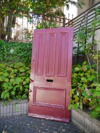 Panel Door (EU504)