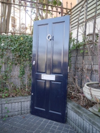 Panel Door (356-23A)