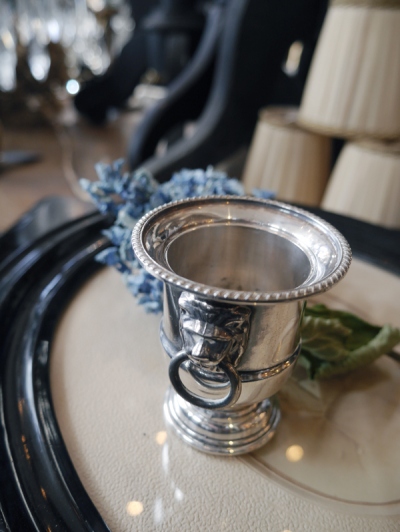 Silver Cup (D2904-19)