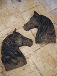 Horse Head (EU2301)