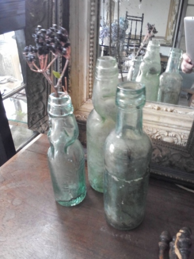 Antique Bottles (B-1)