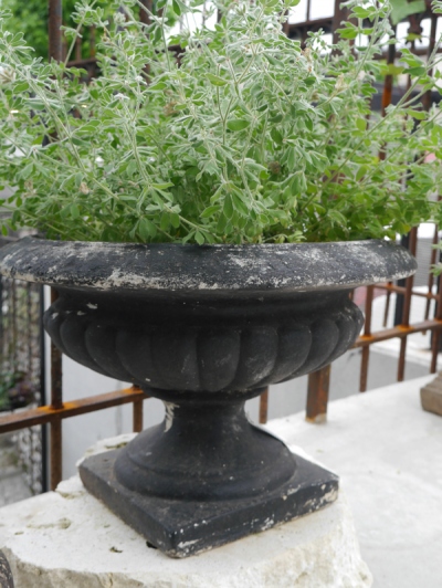 Plant Pot (033-11)