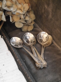 Spoon Set (M-1)