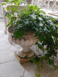 Plant Pot (961-11)