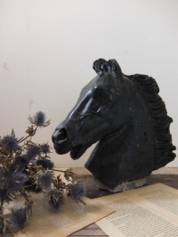 Horse Head (B)