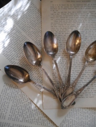Spoon Set (B-2)