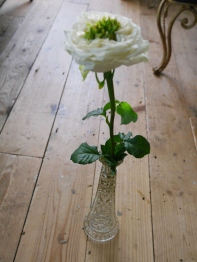 Glass Flower Vase (M12-12)