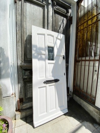 Panel Door (SK497)